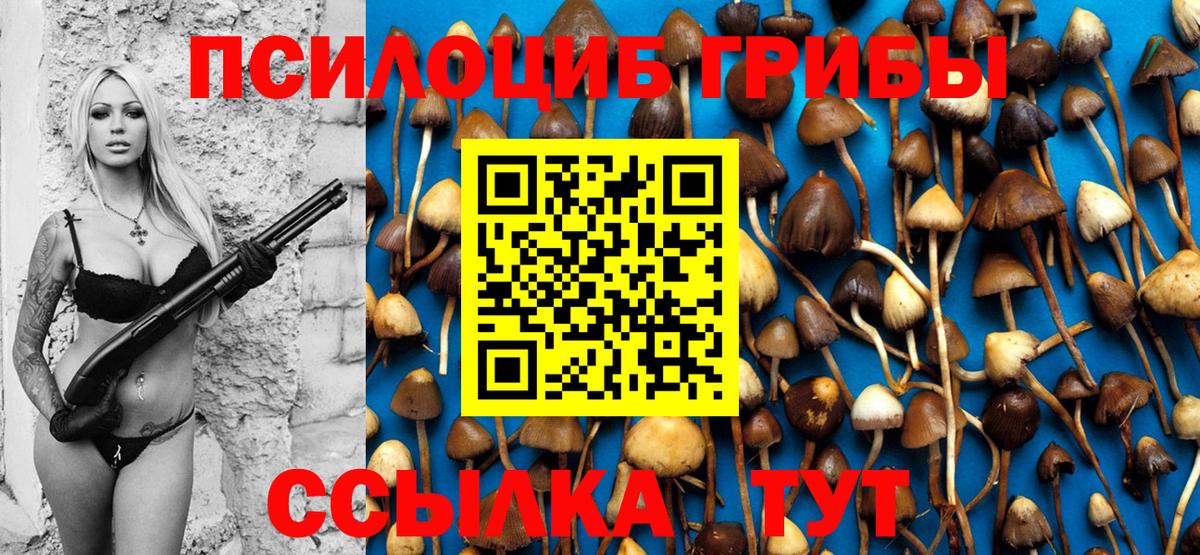 МЕФ Аша