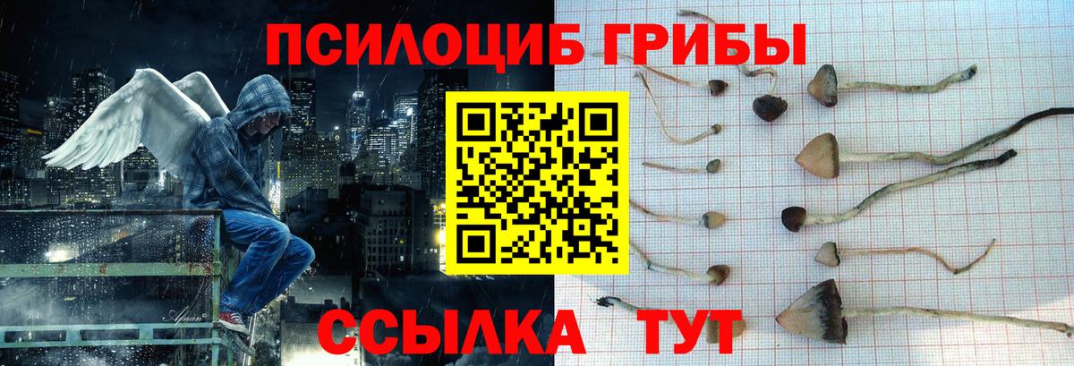 даркнет сайт  Псилоцибиновые грибы Psilocybine cubensis  Псилоцибиновые грибы ЛСД  Вход с VPN  Аша 